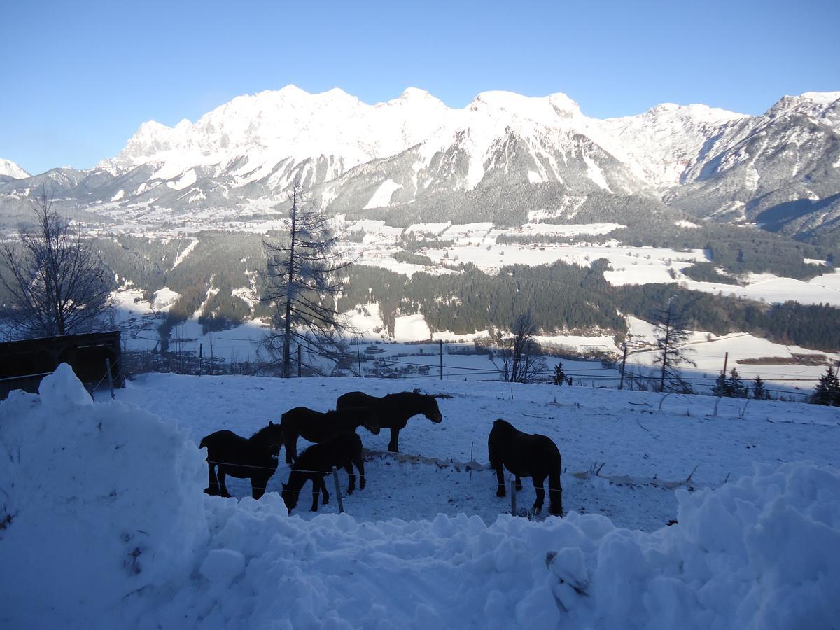 Asingerhof Hotel Schladming Eksteriør billede